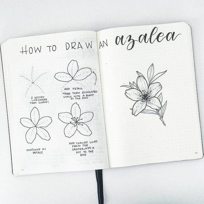 Kniha náčrtkov sfarbenia kvetov azalky zjednodušená kresba, inšpirujte sa a urobte najkrajšiu kresbu