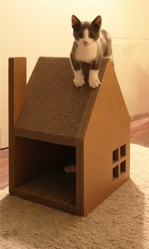 katthus med tak och skorsten och söt kattunge på taket