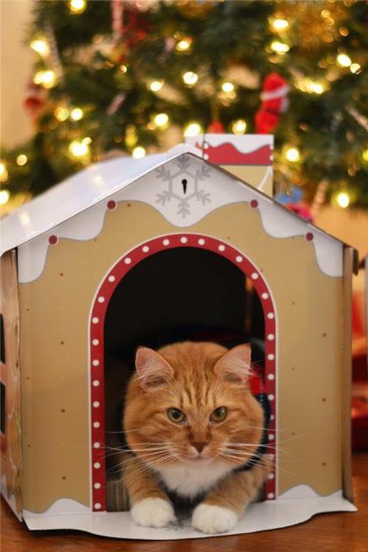 kattkoja under en dekorerad julgran, stor röd katt vid dörren