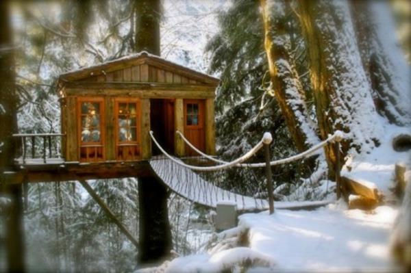 Treehouse-in-the-Bridge-