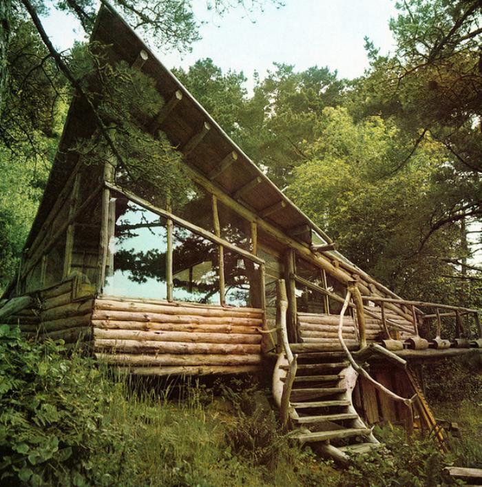 الكابينة في الغابة المنزل في الطبيعة الكاملة التصميم الأصلي
