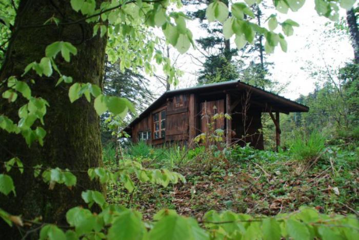 stuga-i-the-wood-lonely-house