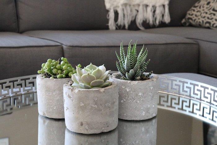 príklad interiérových sukulentov, perlového náhrdelníka, sukulentného a zebrového kaktusu v betónovom hrnci, krásny konferenčný stolík do obývačky