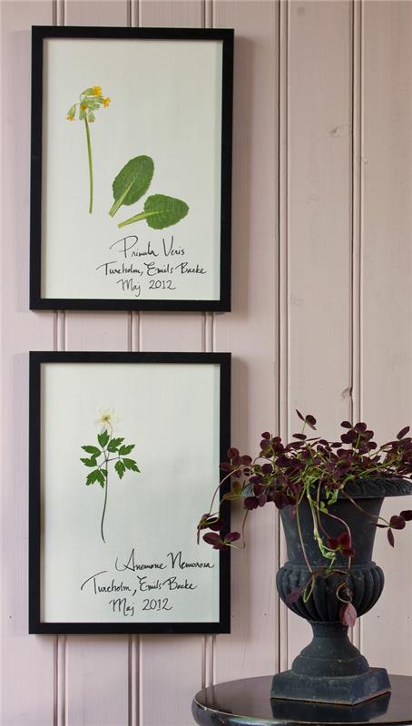 ett dekorativt ramherbarium med ett autentiskt vintagelook tack vare namnet på proverna, plats och datum för insamling