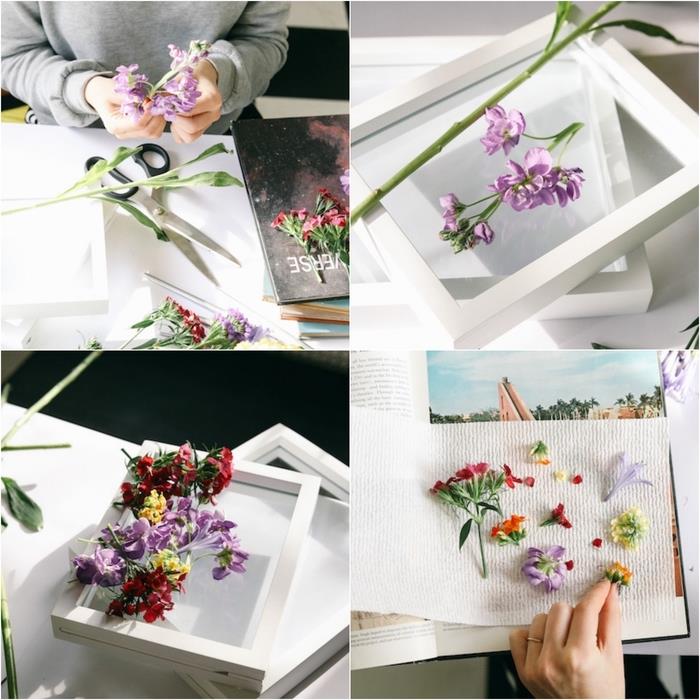 vegetabilisk ramstudie med flytande herbarium av vackra inramade blommor