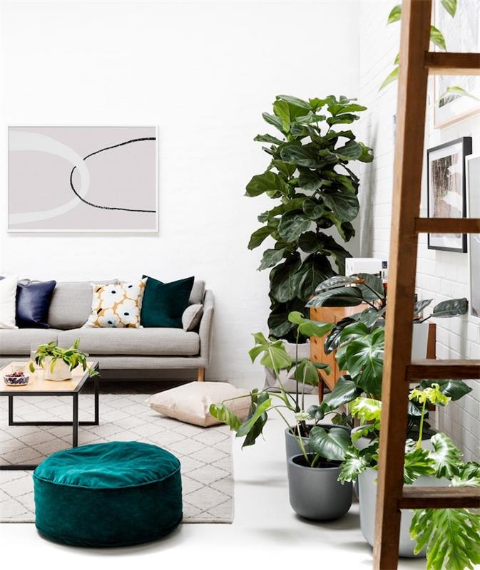 niekoľko zelených izbových rastlín v kvetináčoch, sivý koberec, tyrkysovo zelený puf, sivá pohovka a vankúše rôznych farieb, biele steny, aká izbová rastlina