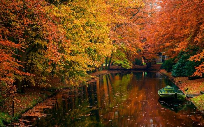 cannal-stromy-krása-na-jeseň-krajina-voda-listy-oranžovo-žltá
