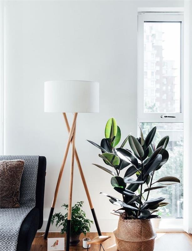 moderný nápad na výzdobu obývačky s košom na gumovník, parketami zo svetlého dreva, čiernou sedačkou a bielymi stenami