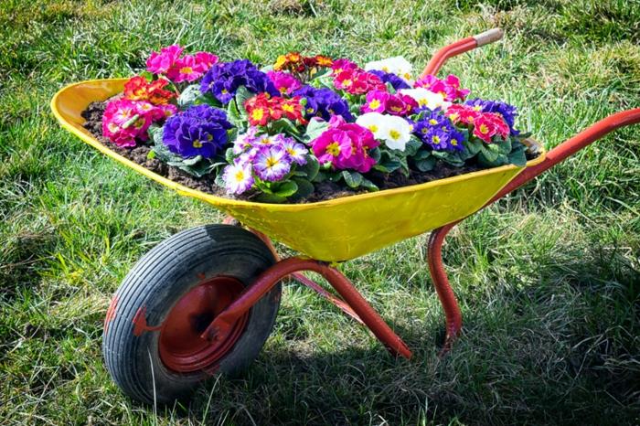 gul skottkärra fylld med krukväxtjord och med planterade blommor, hur du ordnar din trädgård