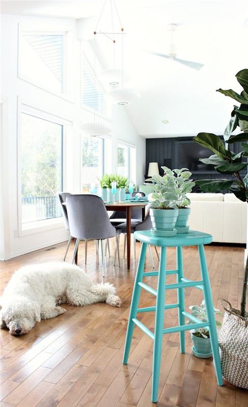 Rozkošný biely pes, akvamarínová vysoká stolička, premena starého nábytku na moderný, prispôsobenie farebného nábytku, kuchyne a obývačky v jednom