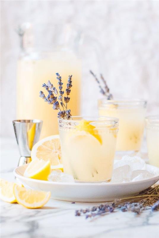 lavendelcocktail med citronsaft och vodka i en tallrik hemaktivitet