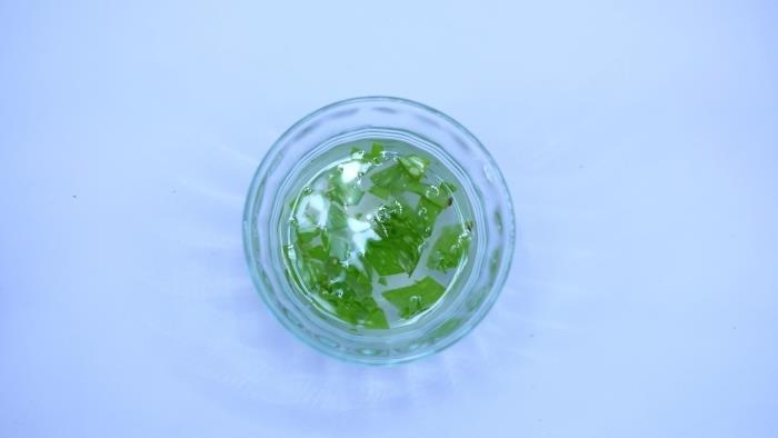 ako uchovávať recept na aloe vera ľahký nápoj so šťavou z liečivých rastlín aloe vera