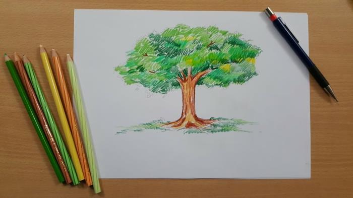 رسم شجرة في فصل الشتاء رسم فرع شجرة رسومات شجرة ملونة