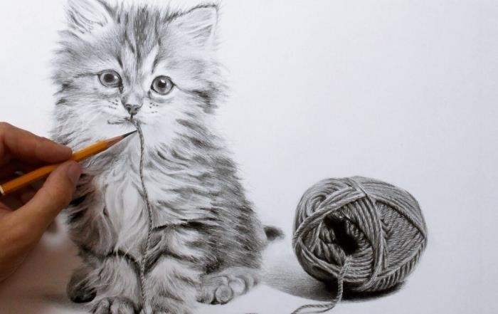 lär dig rita en katt med blyertspenna, söt teckningsmodell av en liten katt som leker med rep