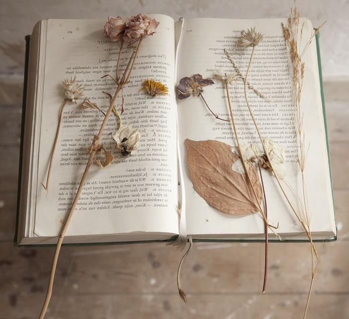 gör ett vintageherbarium med tunga böcker, idé för en inredning inspirerad av botaniska samlingar
