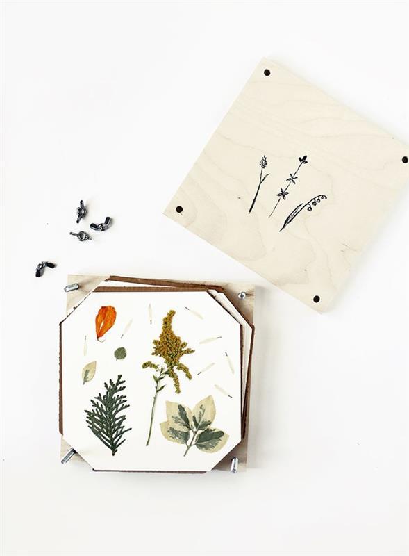 gör ett herbarium och gör söta DIY -projekt med en vintage hemlagad blomsterpress