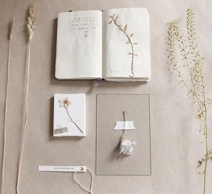 DIY på naturtema för att göra ett vintageherbarium inspirerat av botaniska studier