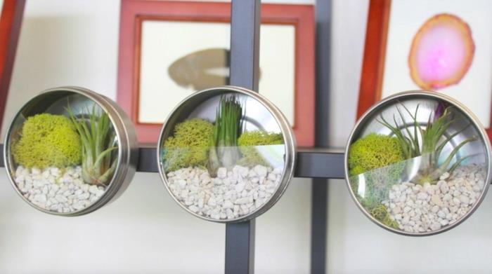 liten tennburk omvandlad till ett terrarium för miniatyrväxter, småsten, gröna växter, mossa, tennburk