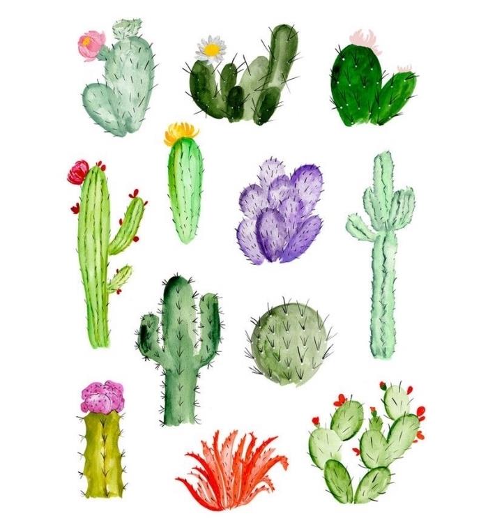 söt samling akvarellkaktusar i olika nyanser av grönt, enkel akvarellritning för att lära sig att blanda färger