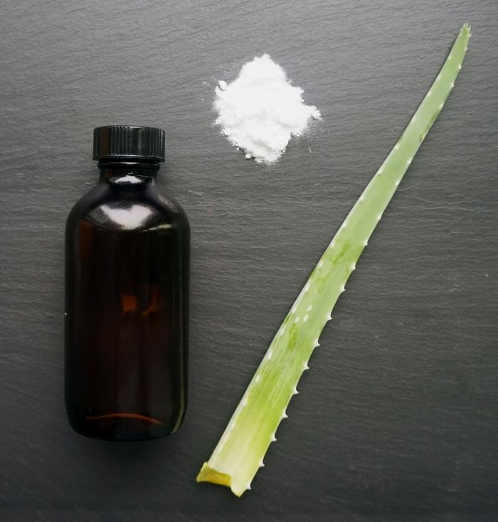 ako používať aloe vera prírodné produkty zdravotnej starostlivosti domáca recept ústna voda aloe vera a mätový esenciálny olej bez alkoholu