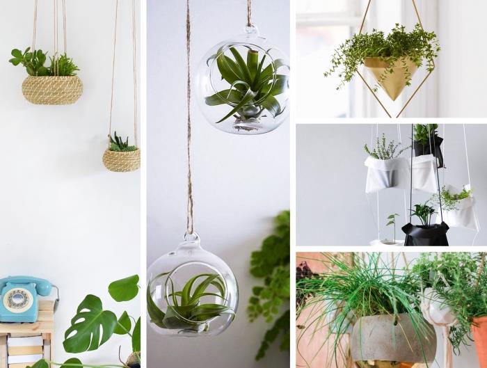 hängande växtbehållaridéer, enkelt DIY -glas och strängterrarium, modernt metallpendellampa