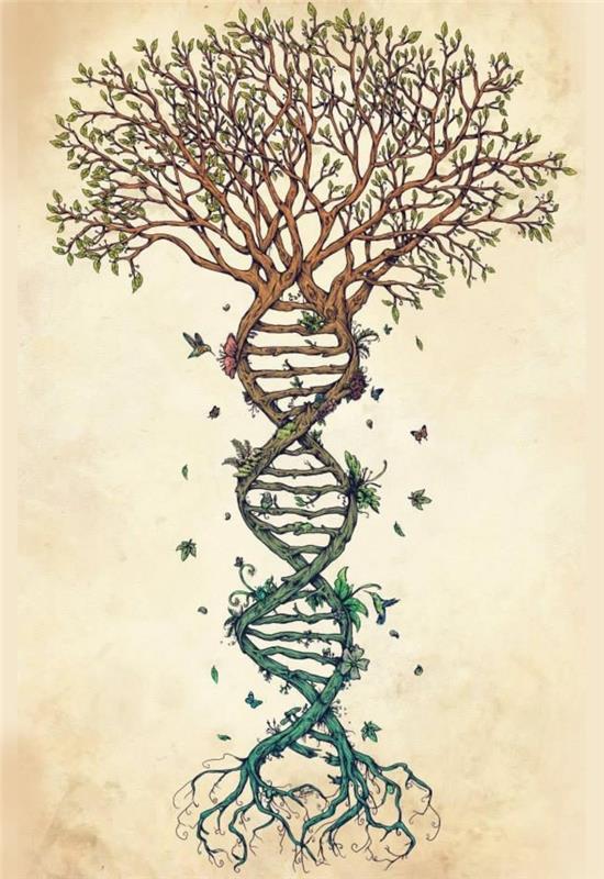 نموذج شجرة رسم قلم رصاص أسود رسم على الطبيعة سلسلة الحمض النووي الرائعة فكرة شجرة الحياة