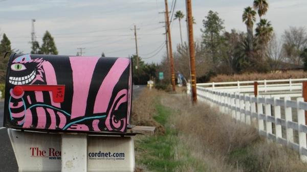 cool-painting-on-a-mailbox-in-pink-and-black