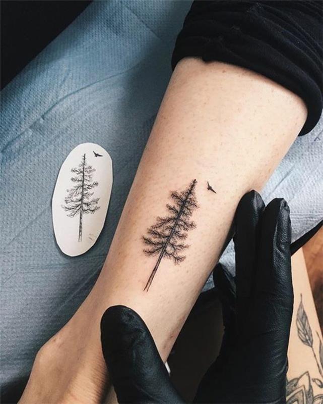 Sova nápad tetovanie old school lastovička kresba na koži