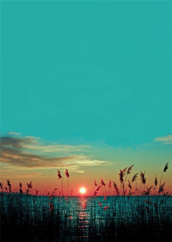 solnedgång-nära-havet-för-ett-landskap-tapet