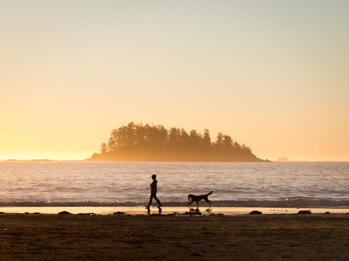 obrázok východu slnka, tapeta na plochu pri jazere s behajúcou ženou a psom, ostrovná krajina a voda pri východe slnka