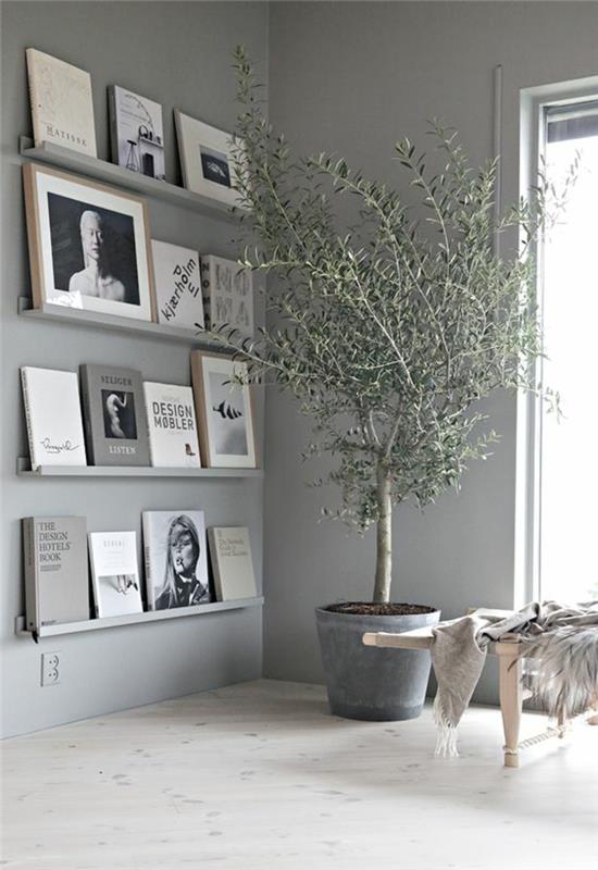 perlovo šedá farba v obývacej izbe s policami s knihami a veľkou zelenou rastlinou