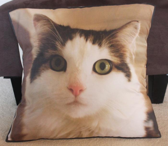 personalizovaný-foto-vankúš-domáca mačka