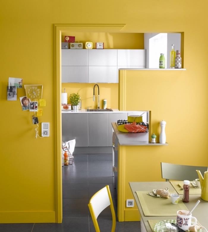 horčicovožltá farba, malý kuchynský dekor so žltými stenami so sivým nábytkom, svetlo sivé kuchynské skrinky