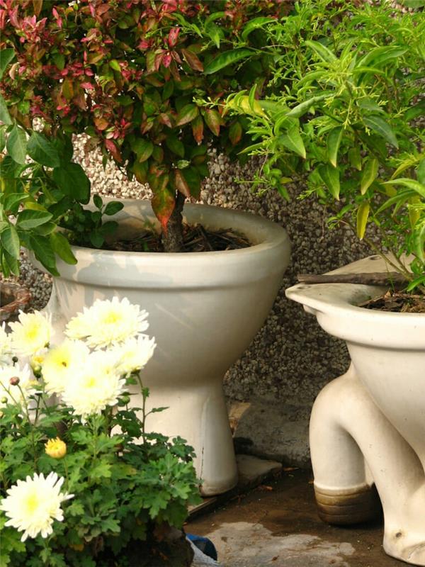 trädgård dekoration idé med handfat, bassänger omvandlas till behållare, buskar planterade i bassängerna