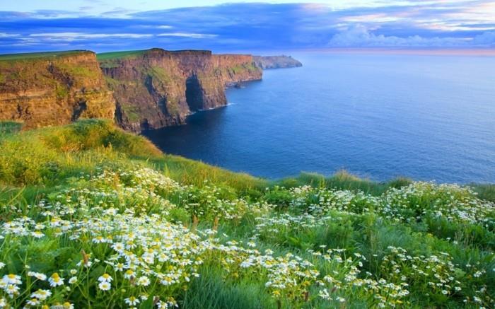 av-besöket-till-irland-cool-idé-spring-break