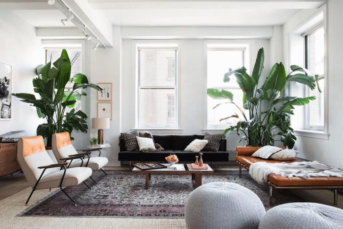moderná výzdoba obývačky s veľkou izbovou rastlinou v kvetináči, tmavošedou pohovkou, hnedou koženou rozkladacou pohovkou, dreveným konferenčným stolíkom, bielymi a hnedými stoličkami, orientálnym kobercom