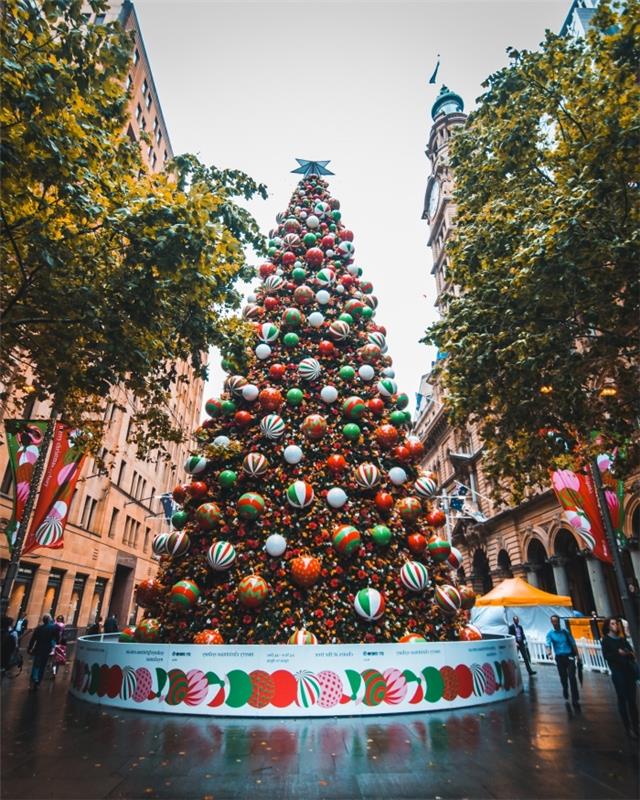 veselý vianočný obrázok ako prenosnú tapetu, fotografovanie vianočných večierkov v centre mesta s veľkou ozdobenou jedľou