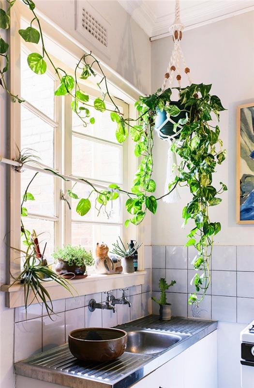 hur man dekorerar ett kök med gröna växter, DIY macrame hängande ljus för begränsat utrymme möblerat med en bohemisk anda