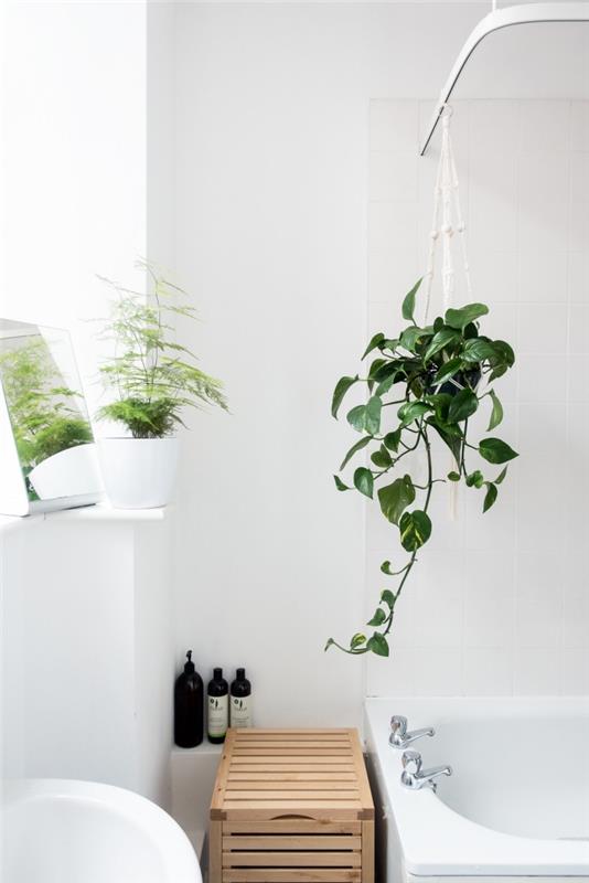 idé hur man dekorerar ett badrum med begränsat utrymme av minimalistisk anda, växt för badrumsmakram