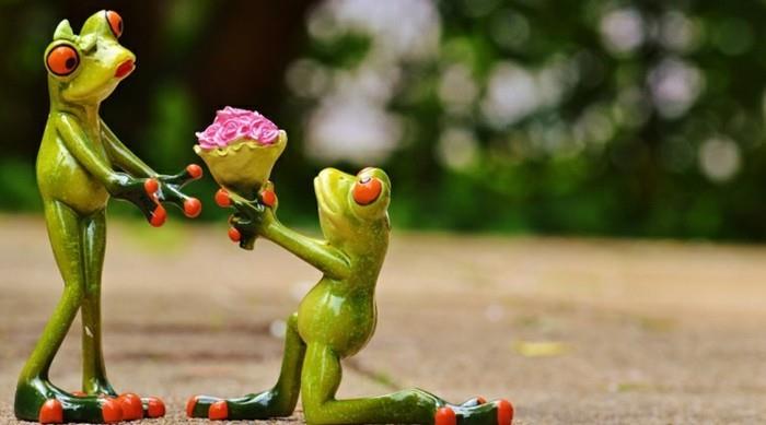 romantisk-och-original-bröllop-förslag-gröna-grodor