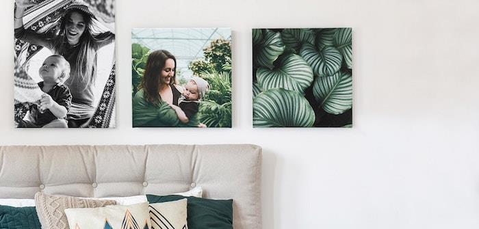 familjefoton fotograferade på svartvitt dekorativ duk och gröna växter