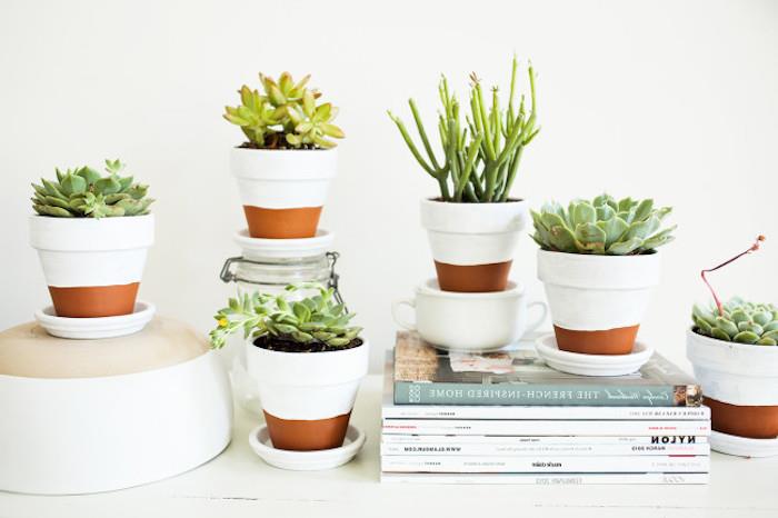 blomkrukor, dekorerad med vit färg, DIY succulenter sovrumsinredning med växter, skandinavisk atmosfär