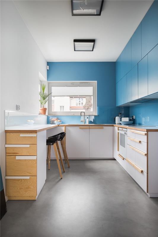 fotografia modernej kuchyne s farebnou stenou, príklad malej kuchyne v tvare U s vysokým nábytkom v modrej farbe