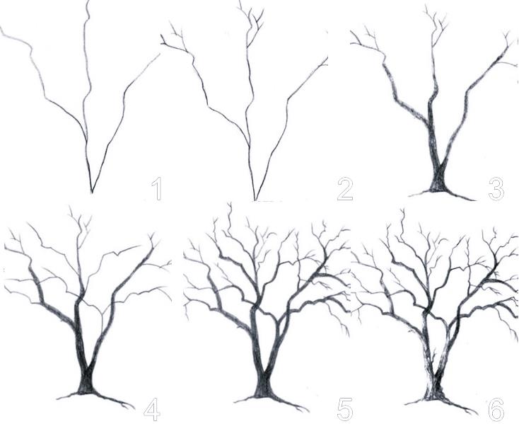 رسم سهل لشجرة عارية في الشتاء بجذور وجذع بدون أوراق ، رسم سهل لشجرة بفروع ، رسم شجرة سهل