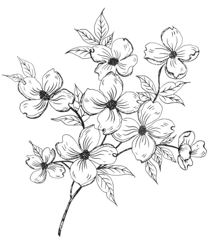 Čiernobiela zjednodušená kresba kytice kvetov kresliaca krásnu myšlienku kresby čiernej a bielej kvetiny