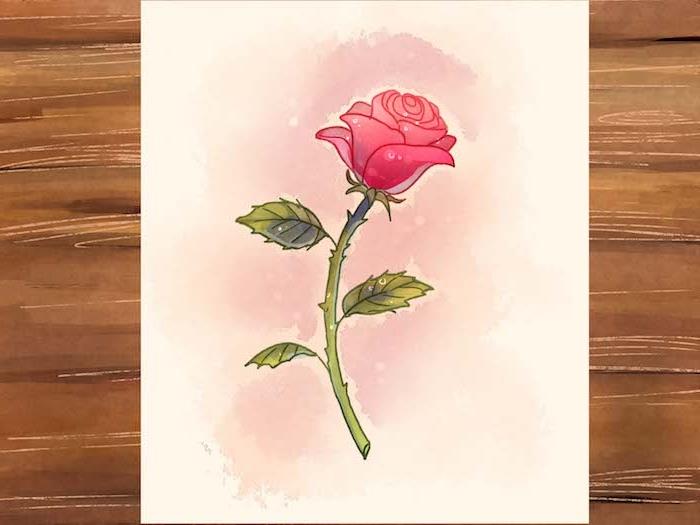 Ružová akvarelová kresba, púpavový kvet sa naučia ľahko kresliť, perspektívna kresba