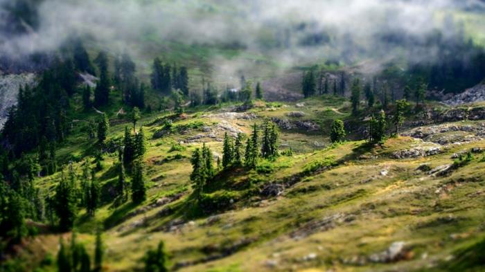 berg med granar utspridda på backarna, genomskinliga vita moln som skapar en mystisk atmosfär, stenigt landskap, himmelskt landskap