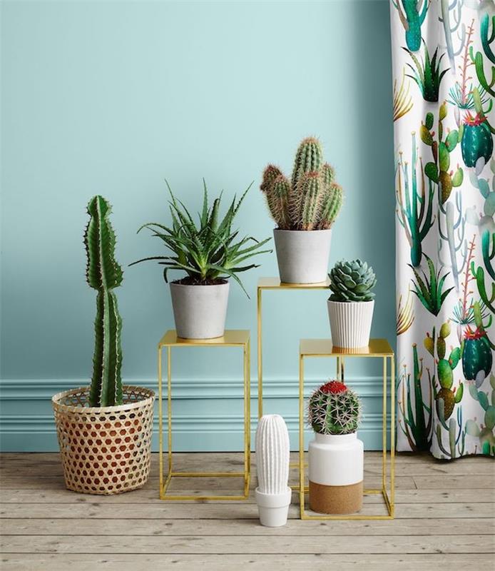 deco obývacia izba s modrými stenami, najkrajšími izbovými rastlinami, sukulentmi a kaktusmi na drobných dekoratívnych stolíkoch, drevenými parketami, závesmi s kvetinovým vzorom