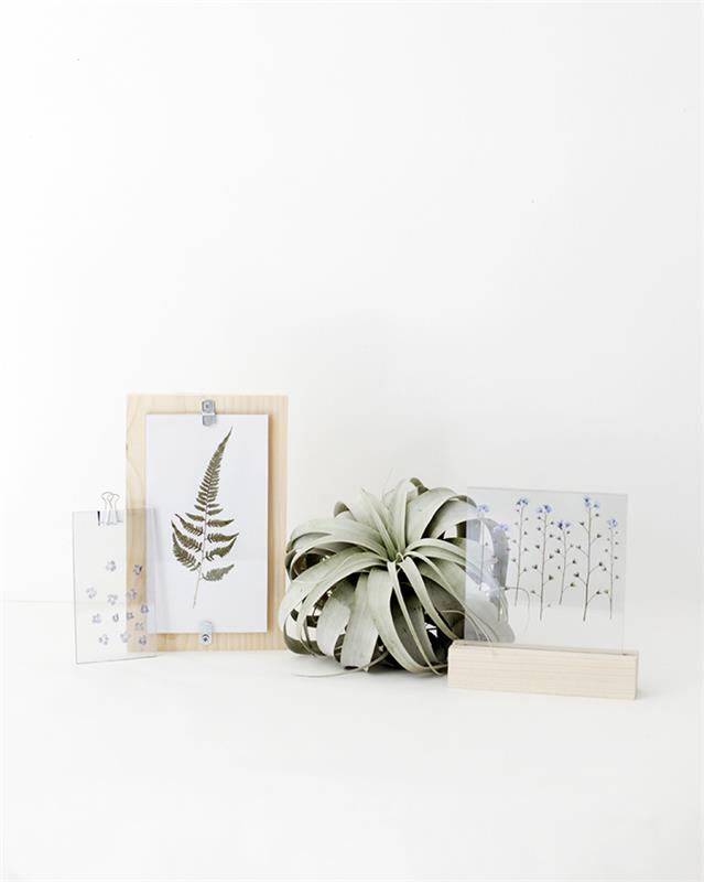 skapa en original växtram i trä, glas och pressade växter för en botaniskt inspirerad inredning