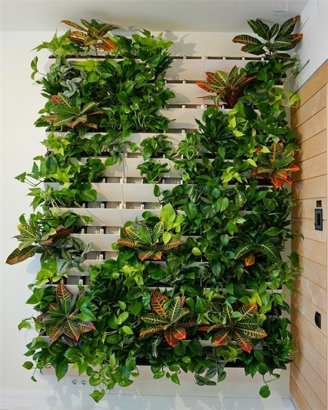 DIY vit träväggkonstruktion blomma vägg väggdekoration små utrymme klätterväxter